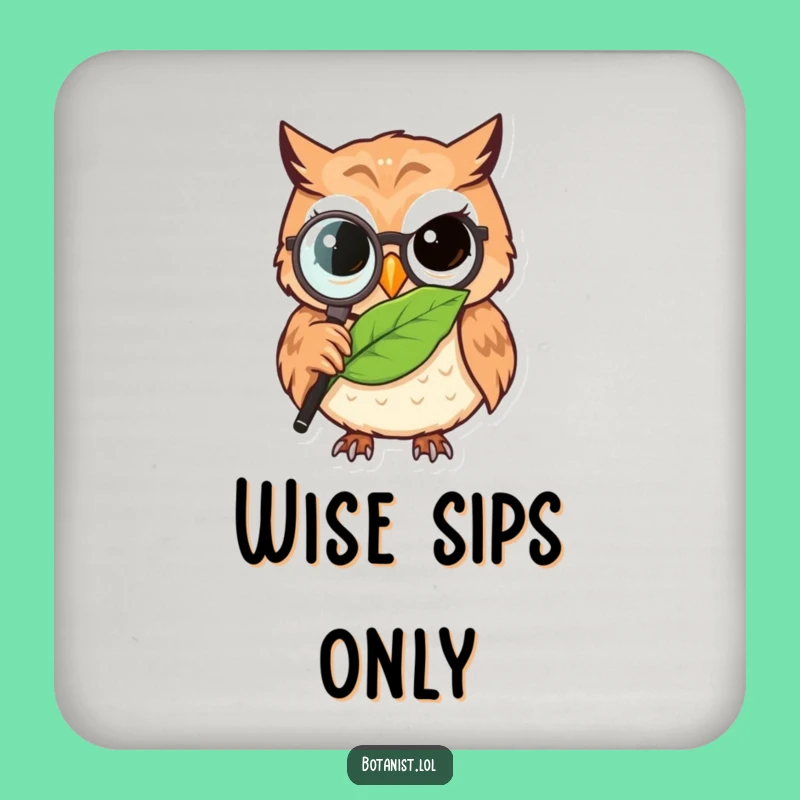 Funny Owl Detective Coaster: Protect Surfaces with Wise Observation!
